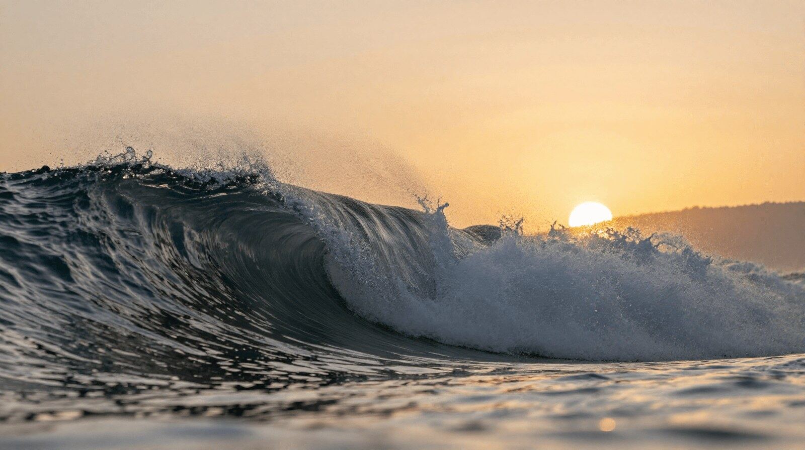 Morning surfer at Manly Beach with sun on the water